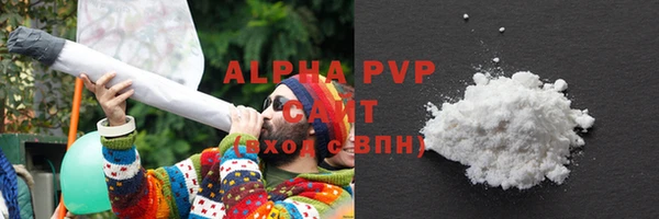 стаф Вяземский