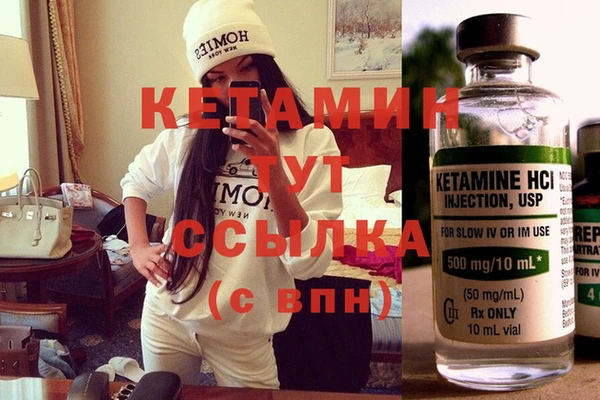 стаф Вяземский