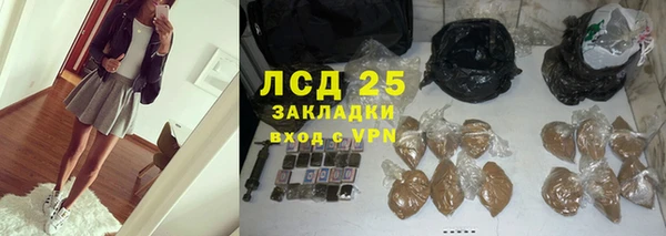 стаф Вяземский