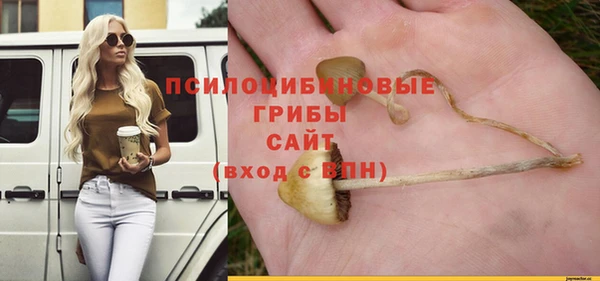 ALPHA PVP Вязьма