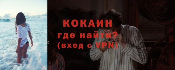 стаф Вяземский