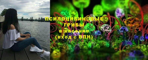 стаф Вяземский