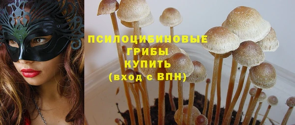 молекула духа Осинники